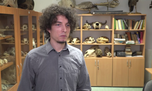 Odnajdywane w Polsce skamieniałości rzucają nowe światło na prastare zwierzęta. Pozwalają też przewidzieć zachowanie środowiska przy zmieniającym się klimacie