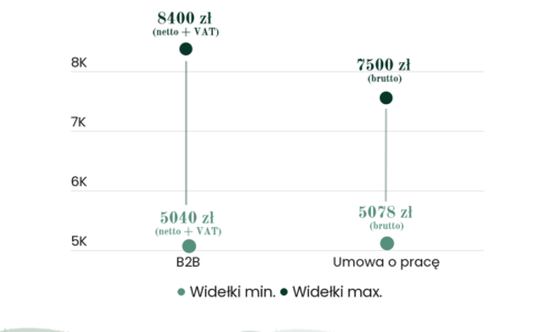 Zarobki juniorów w IT w 2021 – nawet do 8400 zł netto na umowie B2B