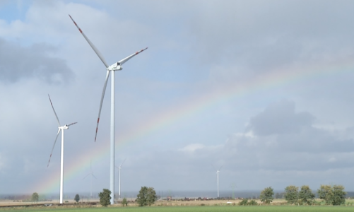 Klimat i energetyka zdominowały dyskusje przed wyborami samorządowymi. Wyborcy oczekują zielonych zmian i taniej energii [DEPESZA]